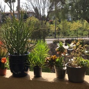 Meet your Posher, Benjamin